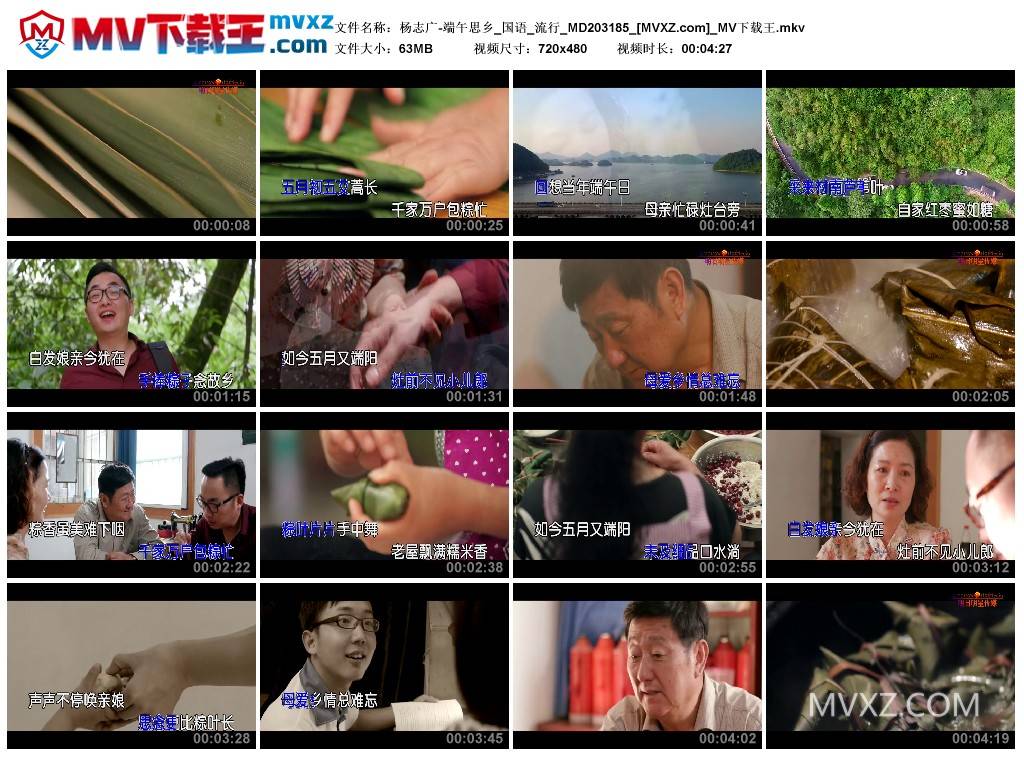 杨志广-端午思乡_国语_流行_MD203185